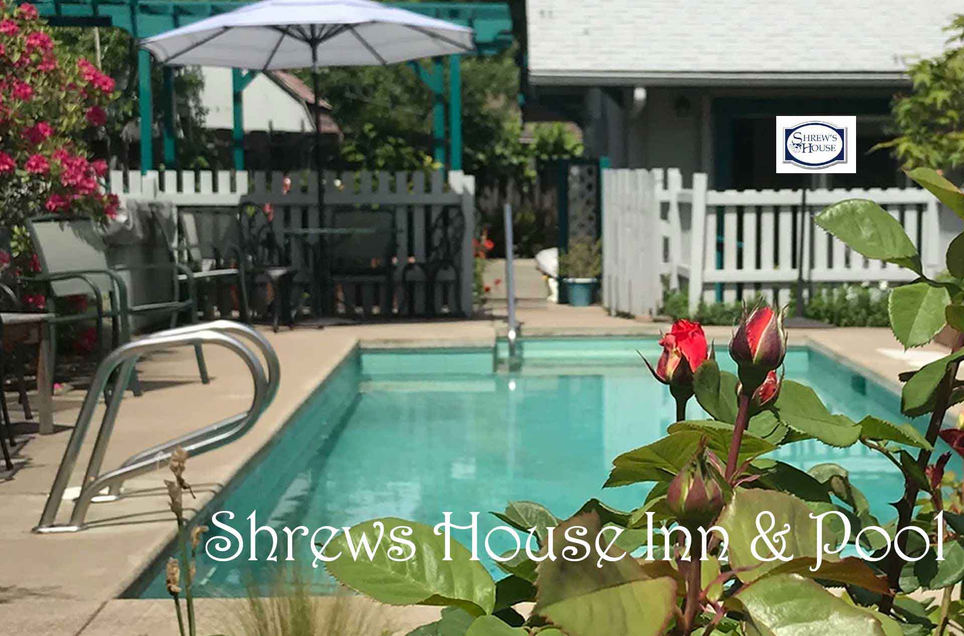 A pool surrounded by greenery, with a rose bush in the foreground and a white fence in the background.