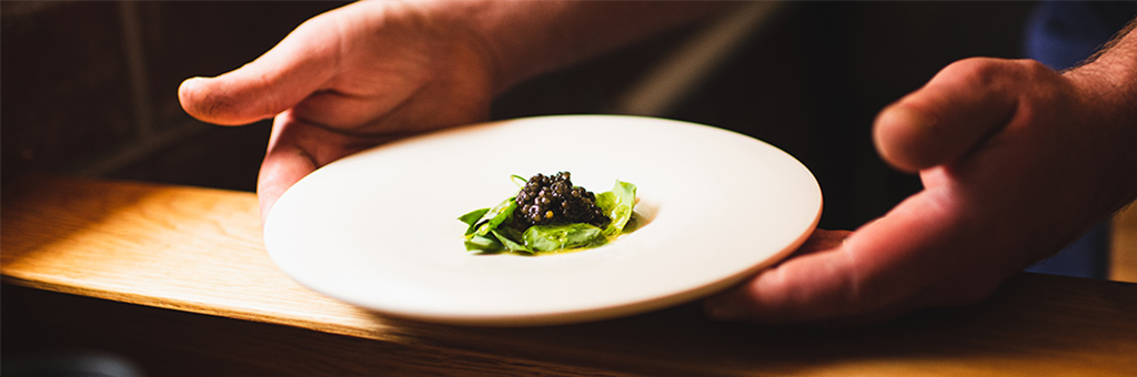 Hands holding a plate of food.