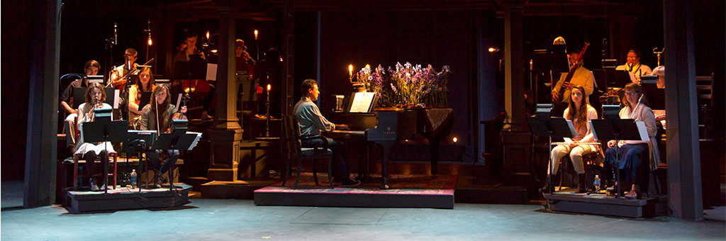 A scene from OSF&#39;s 2014 production of Into the Woods, featuring the orchestra on stage with musicians playing various instruments. The centerpiece is a pianist seated at a grand piano decorated with vibrant purple flowers, surrounded by warm, atmospheric lighting.