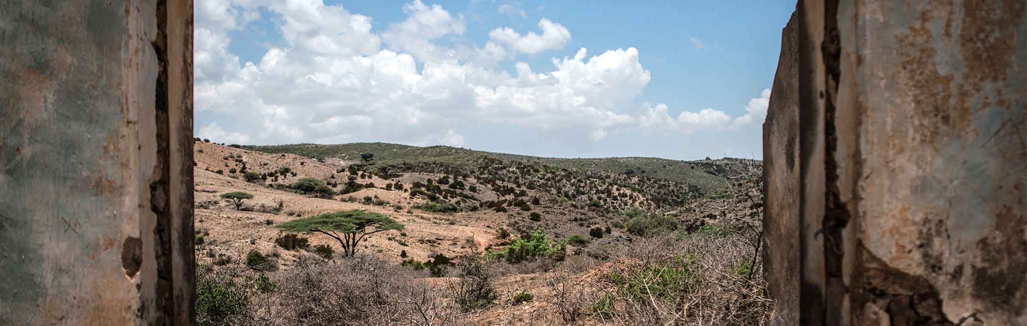 Outdoor scene through a window.